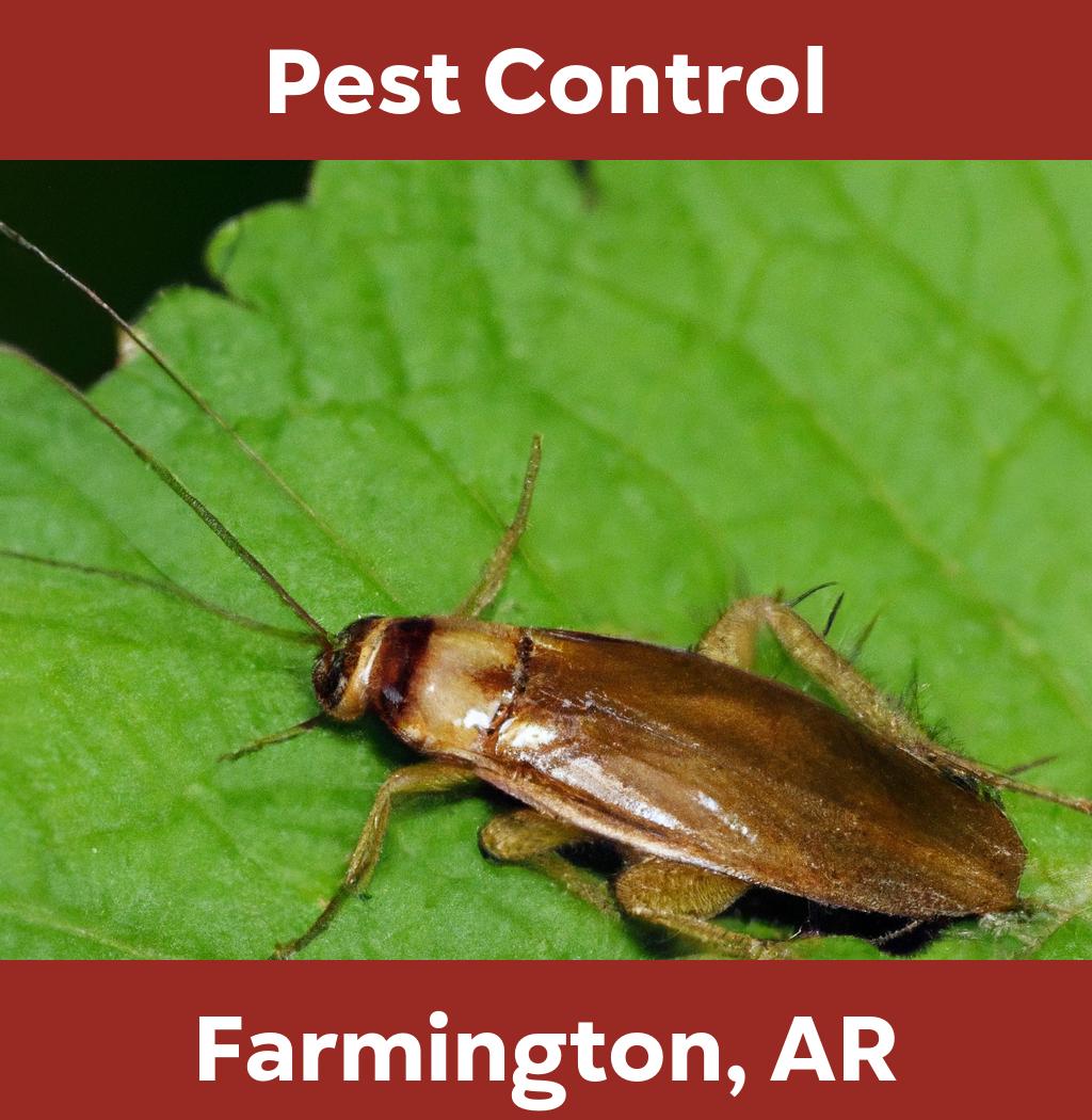 pest control in Farmington Arkansas