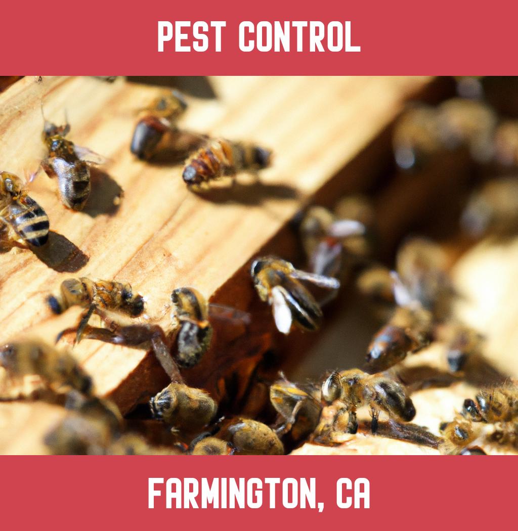 pest control in Farmington California