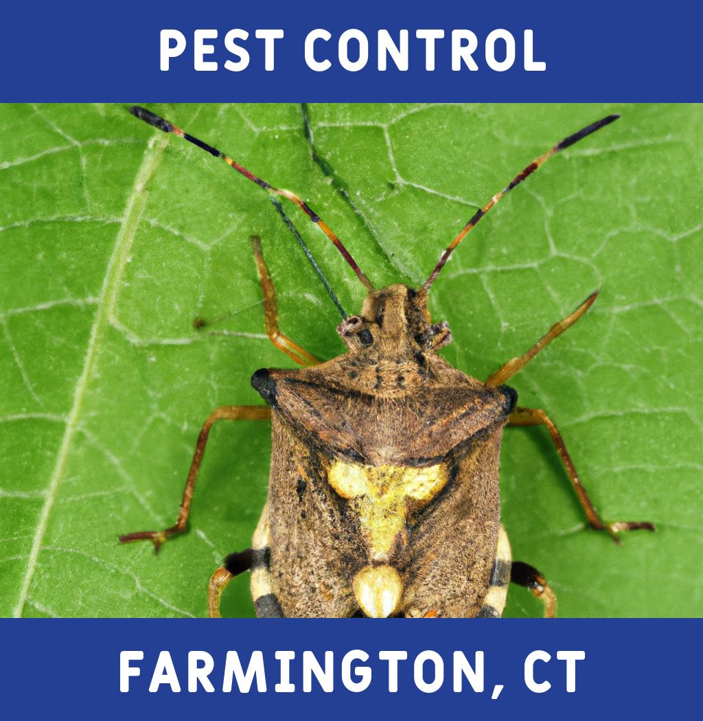 pest control in Farmington Connecticut