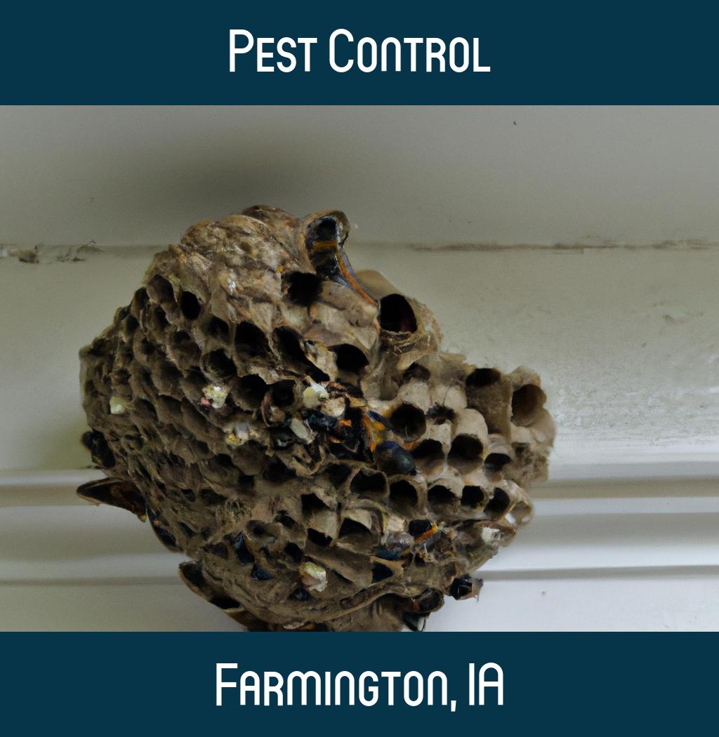 pest control in Farmington Iowa