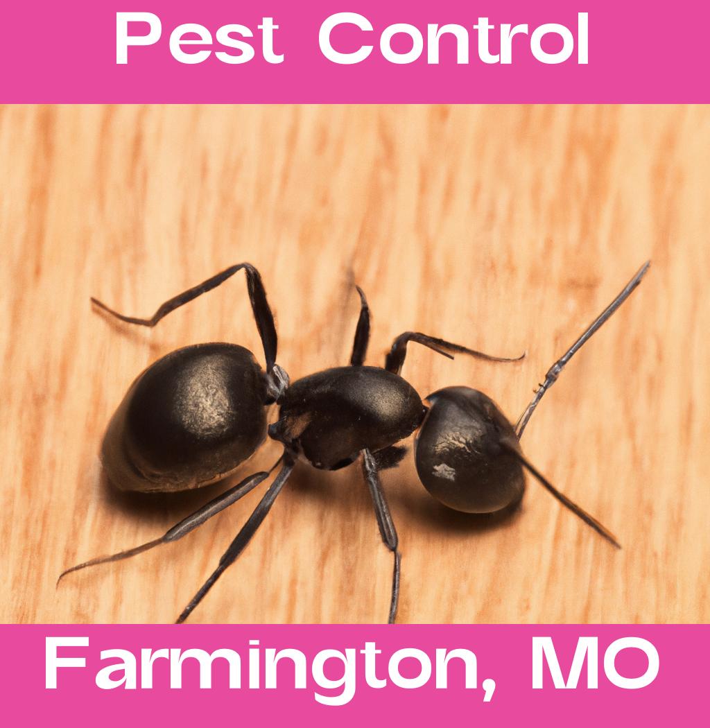 pest control in Farmington Missouri