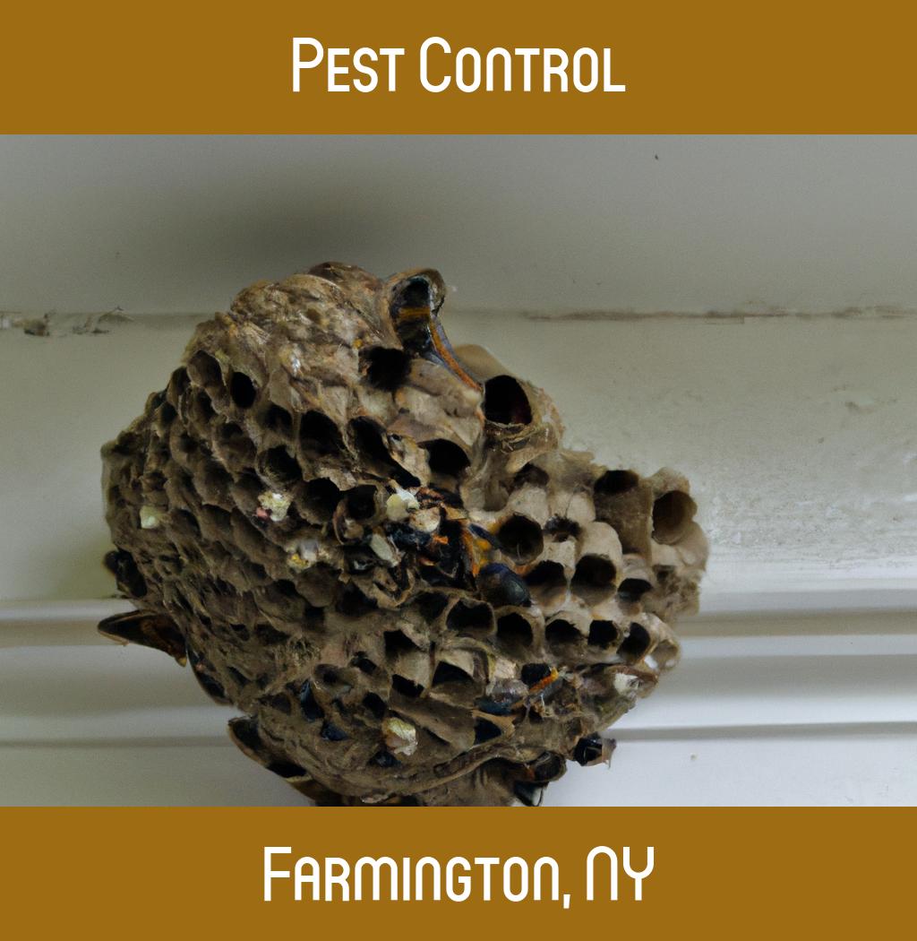 pest control in Farmington New York