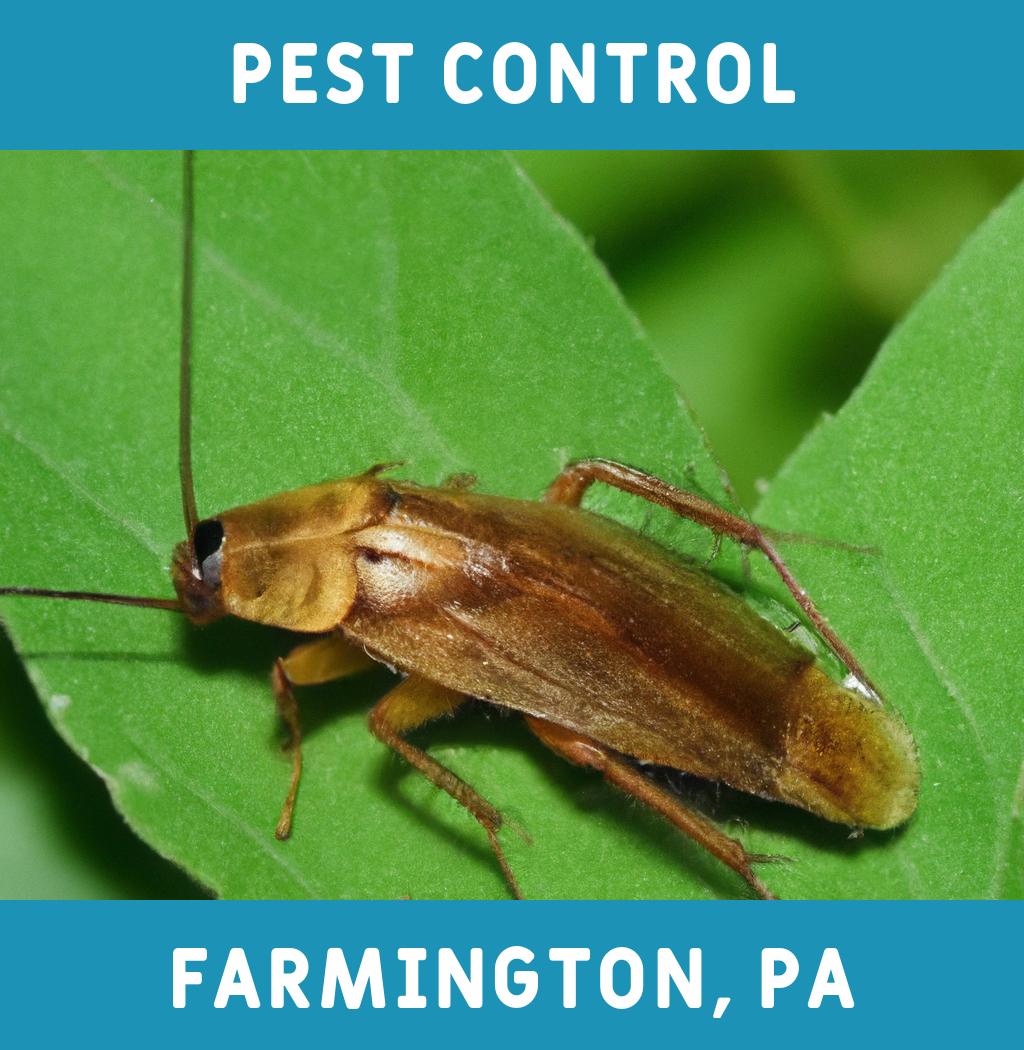 pest control in Farmington Pennsylvania