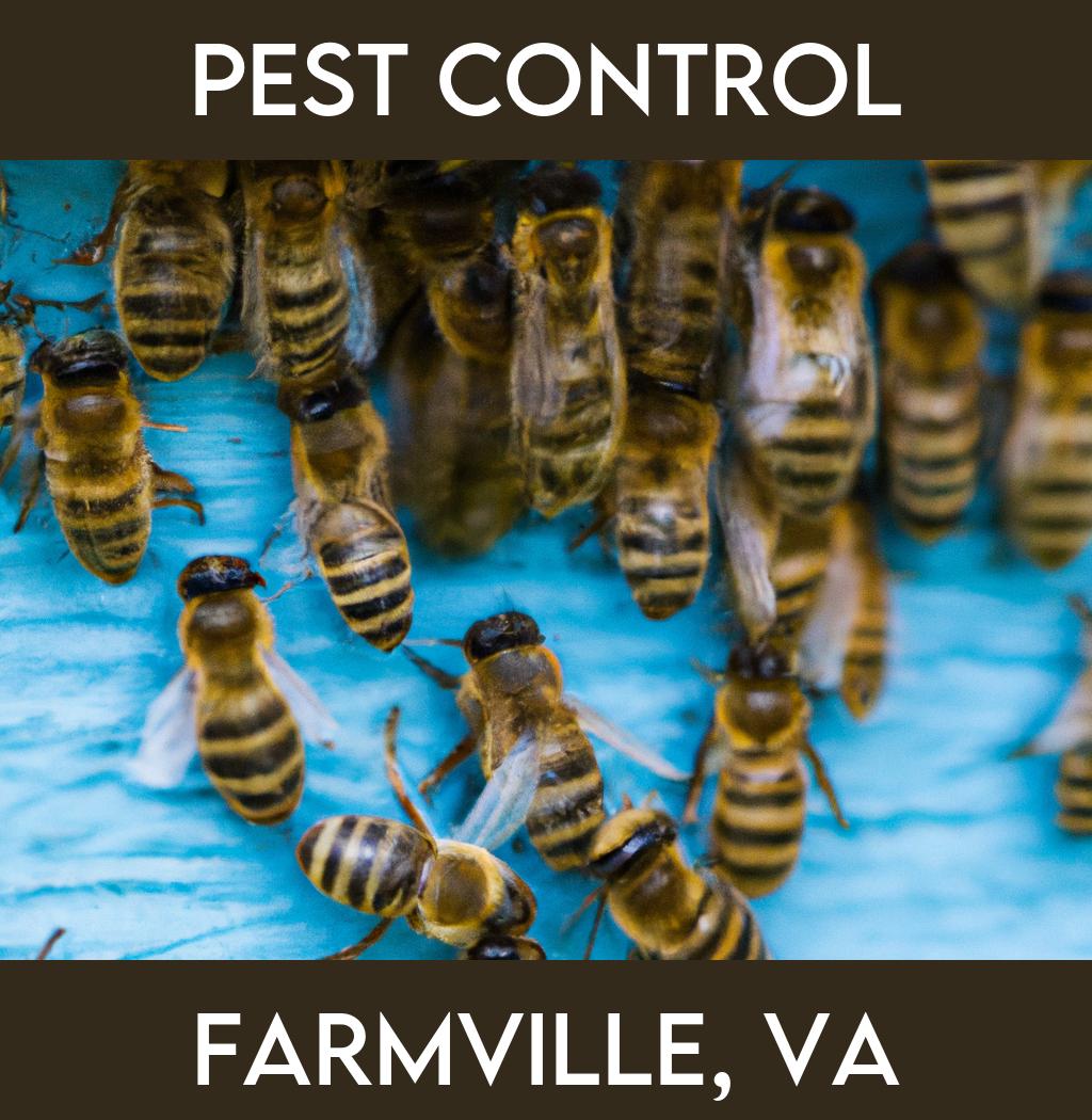 pest control in Farmville Virginia