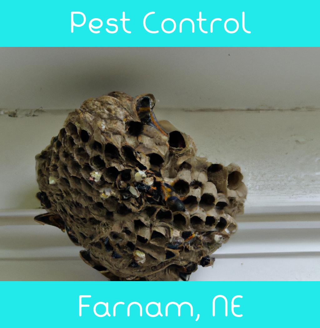 pest control in Farnam Nebraska