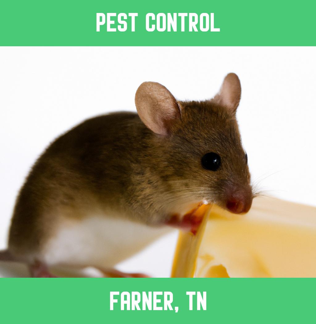 pest control in Farner Tennessee