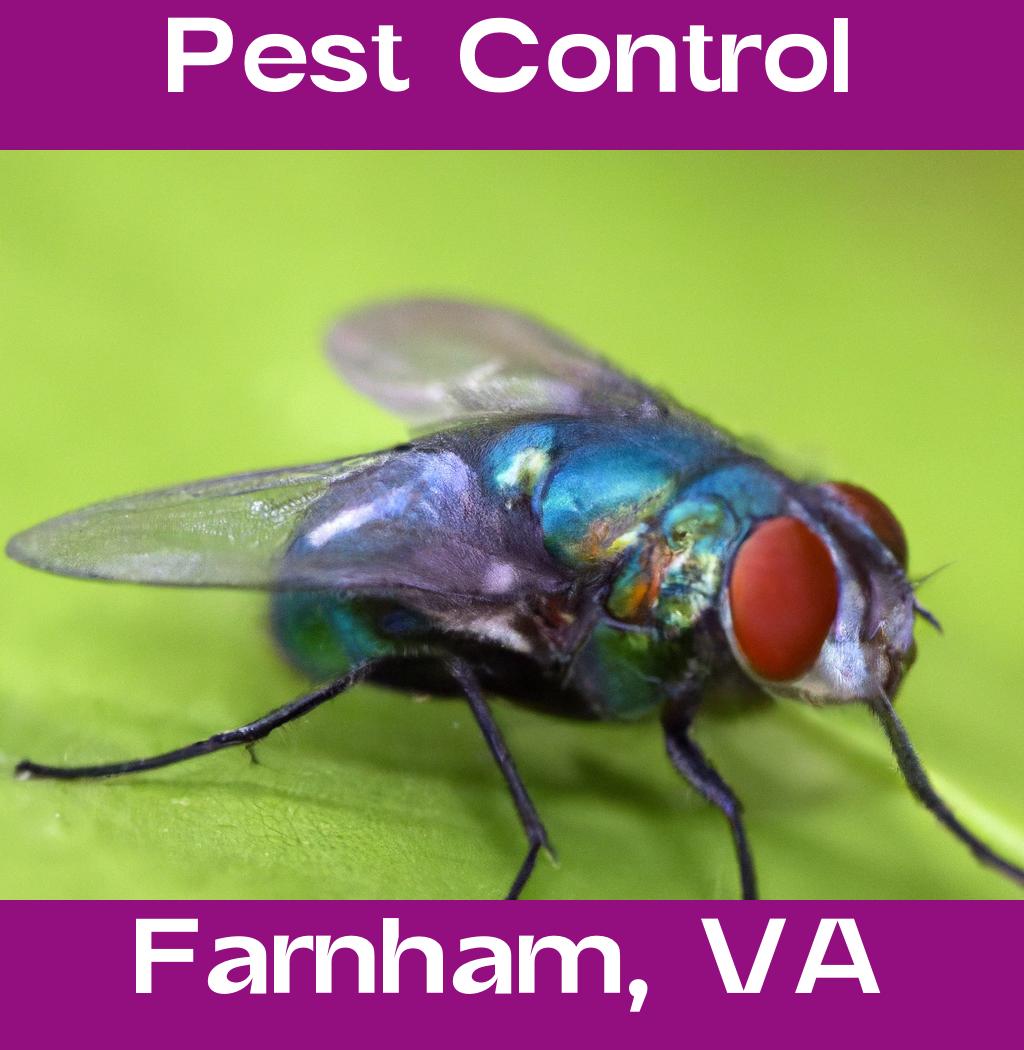 pest control in Farnham Virginia