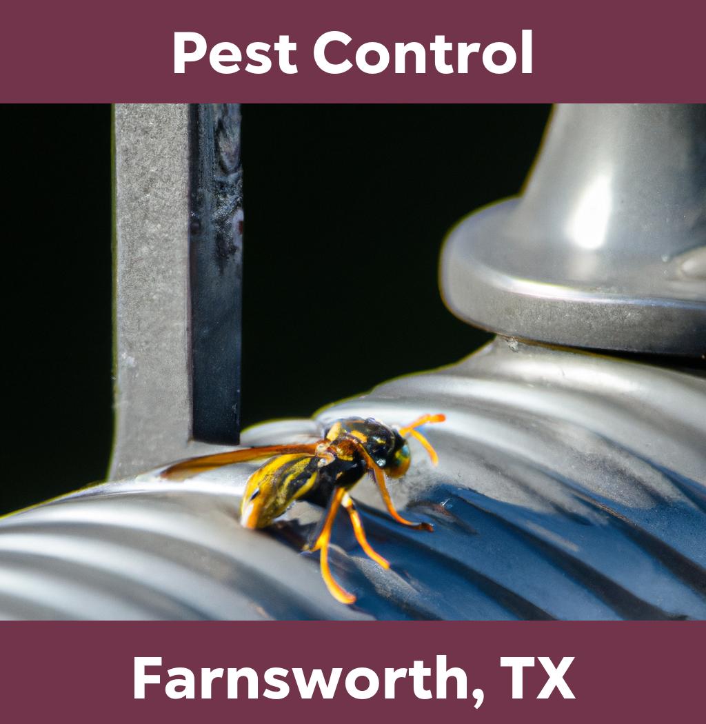 pest control in Farnsworth Texas