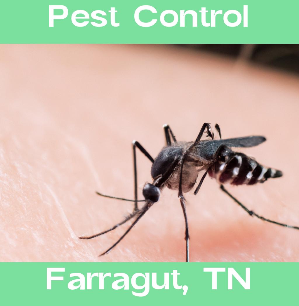 pest control in Farragut Tennessee