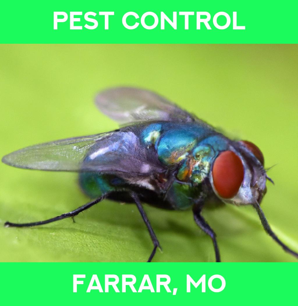 pest control in Farrar Missouri