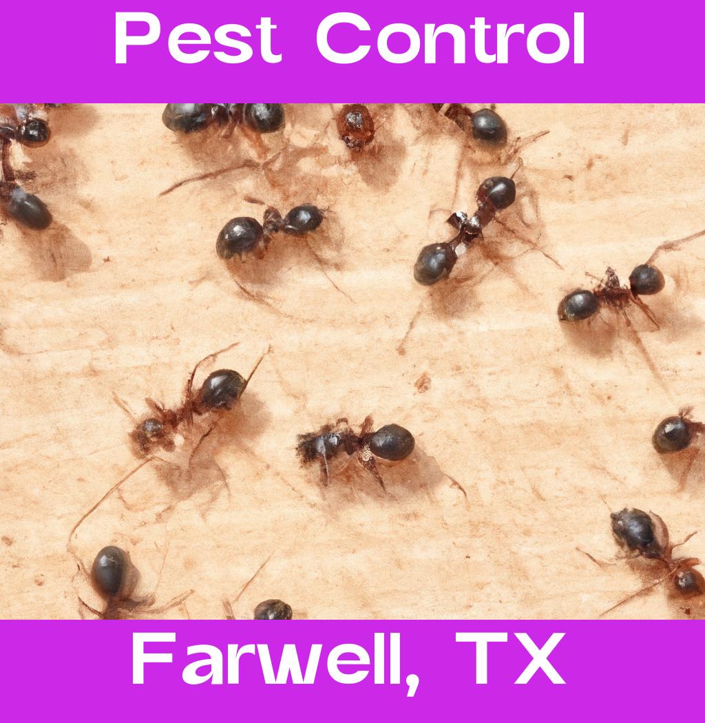 pest control in Farwell Texas