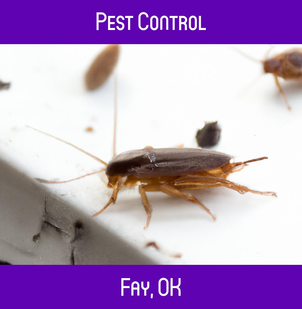 pest control in Fay Oklahoma