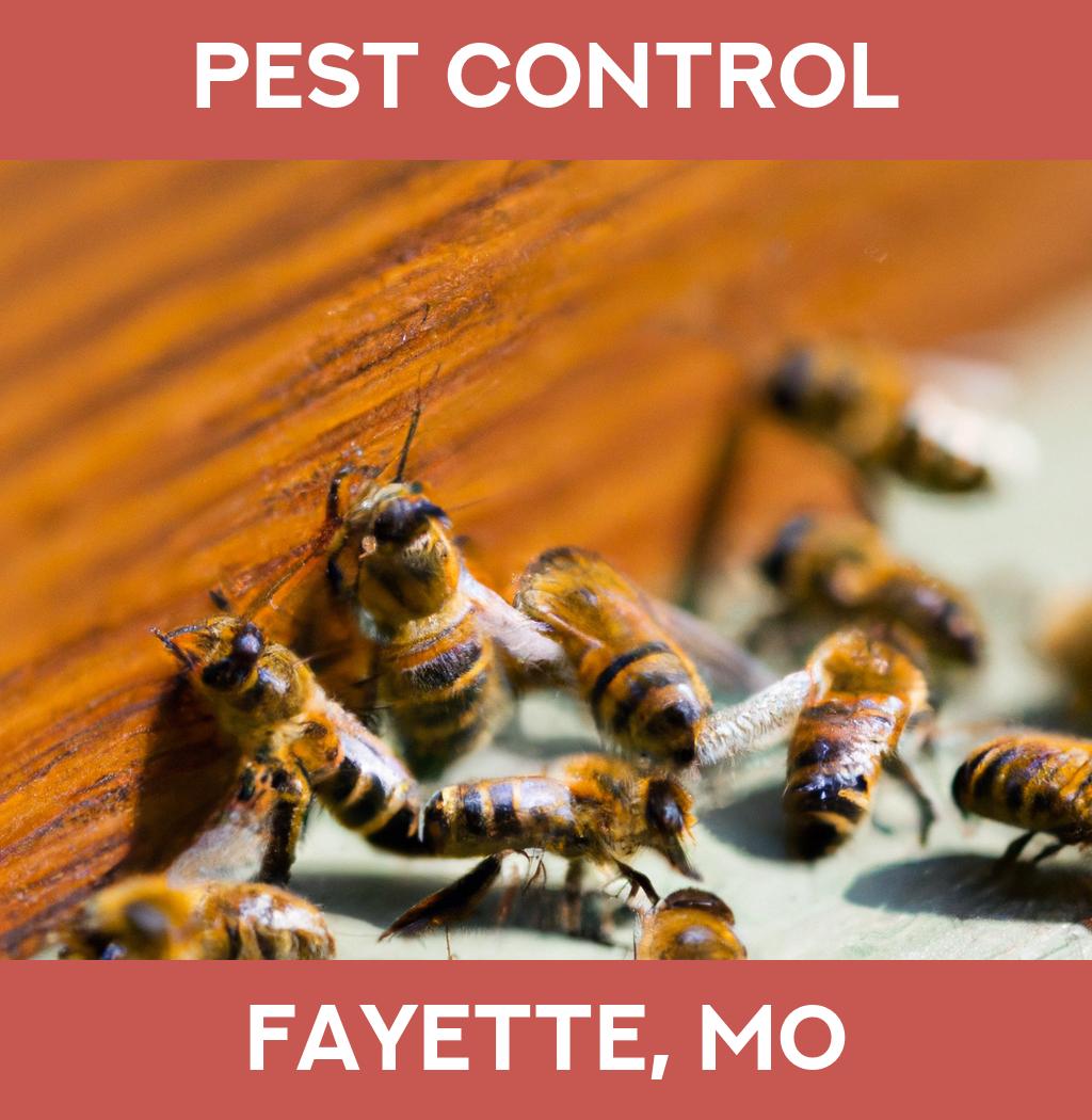 pest control in Fayette Missouri