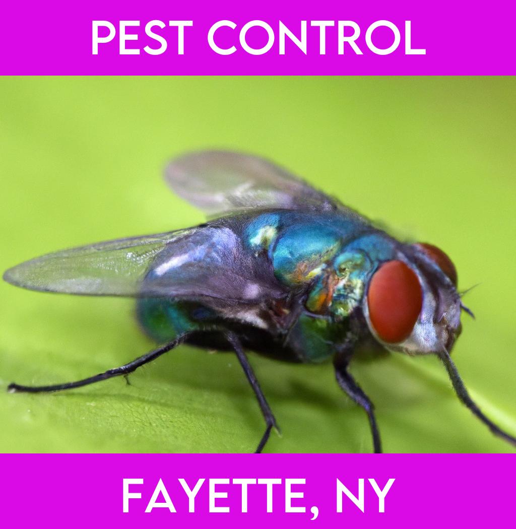 pest control in Fayette New York