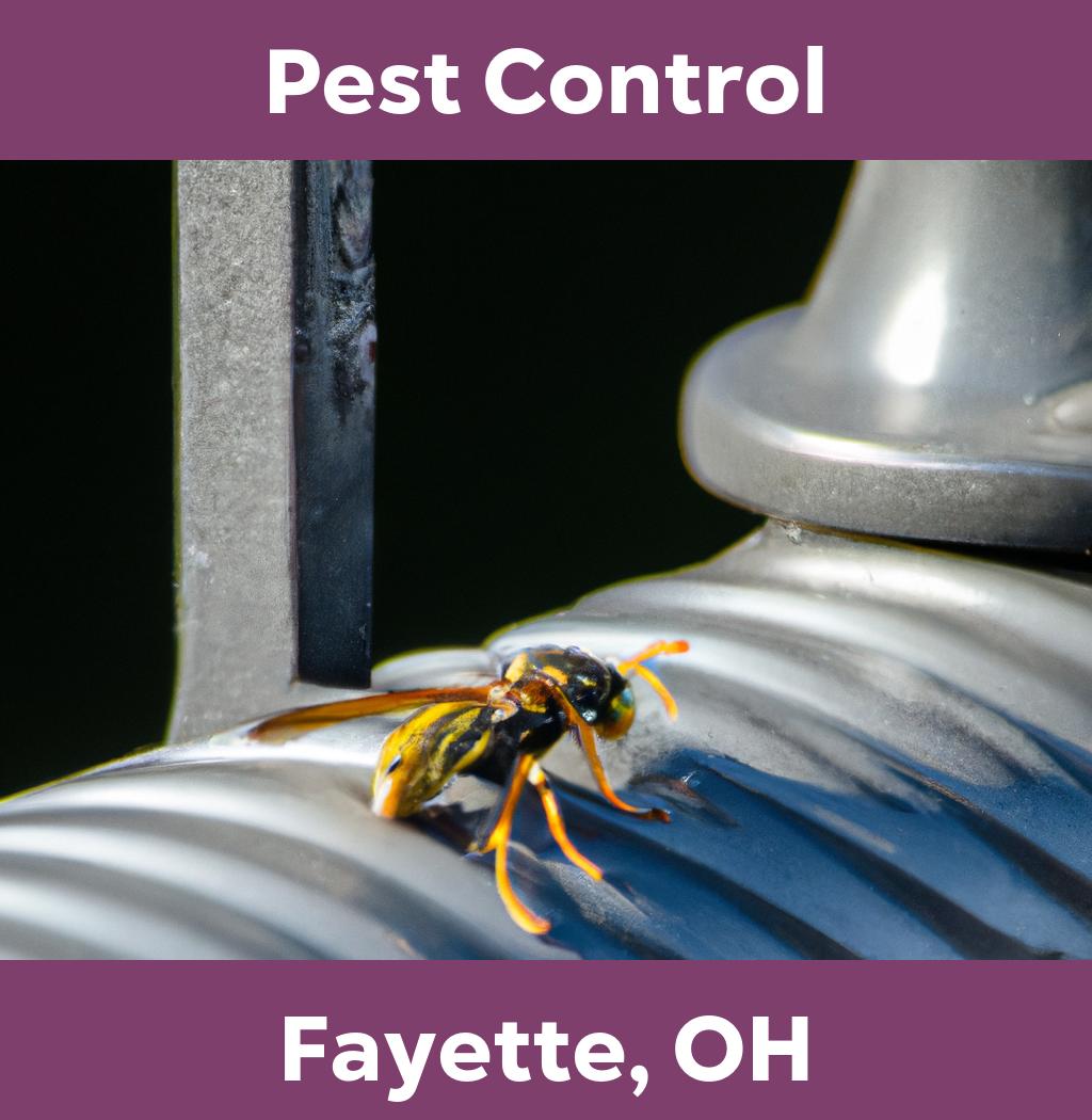 pest control in Fayette Ohio