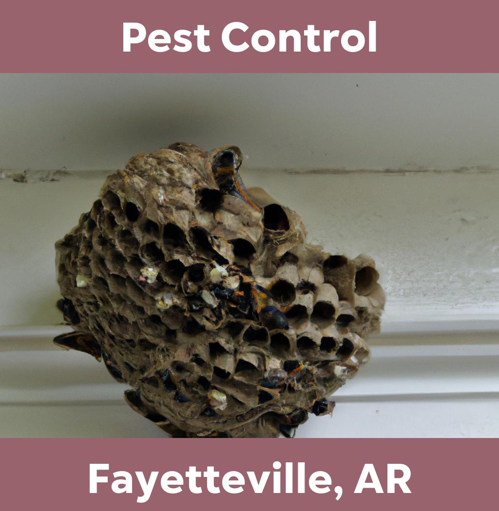 pest control in Fayetteville Arkansas