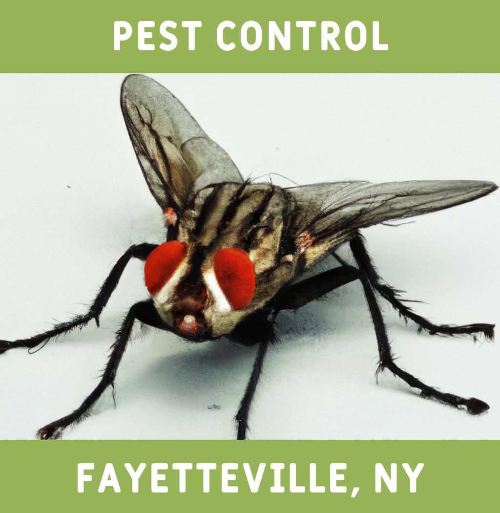 pest control in Fayetteville New York