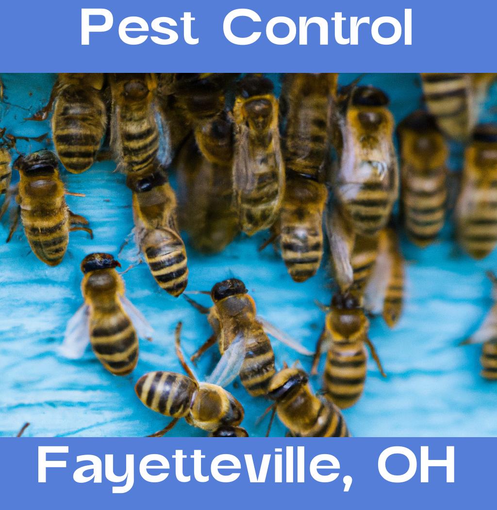 pest control in Fayetteville Ohio