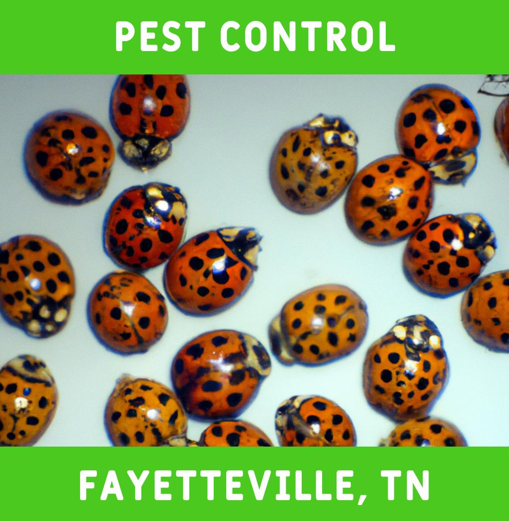 pest control in Fayetteville Tennessee