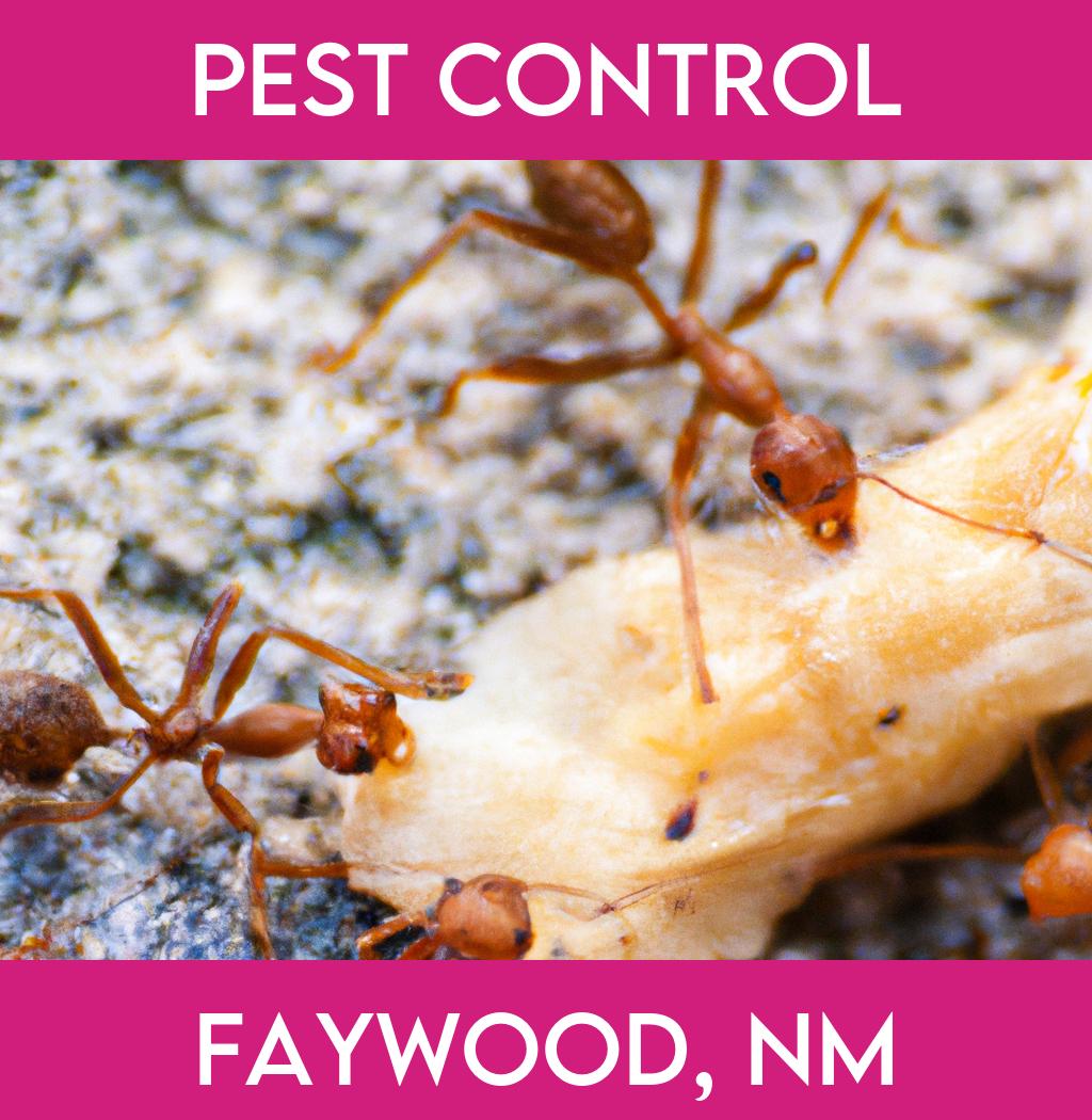 pest control in Faywood New Mexico