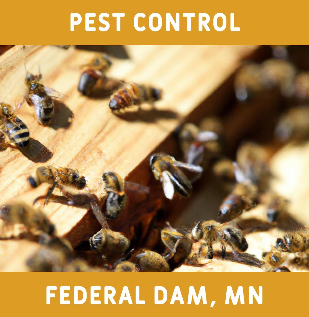 pest control in Federal Dam Minnesota