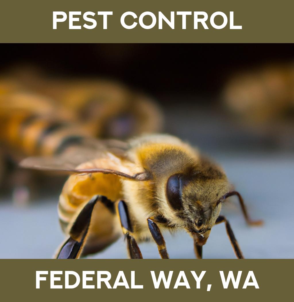 pest control in Federal Way Washington