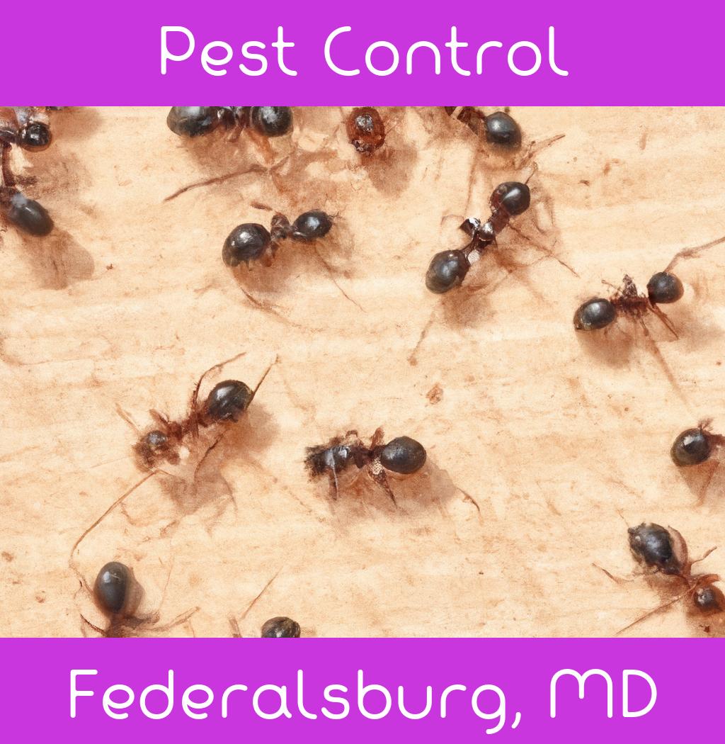 pest control in Federalsburg Maryland
