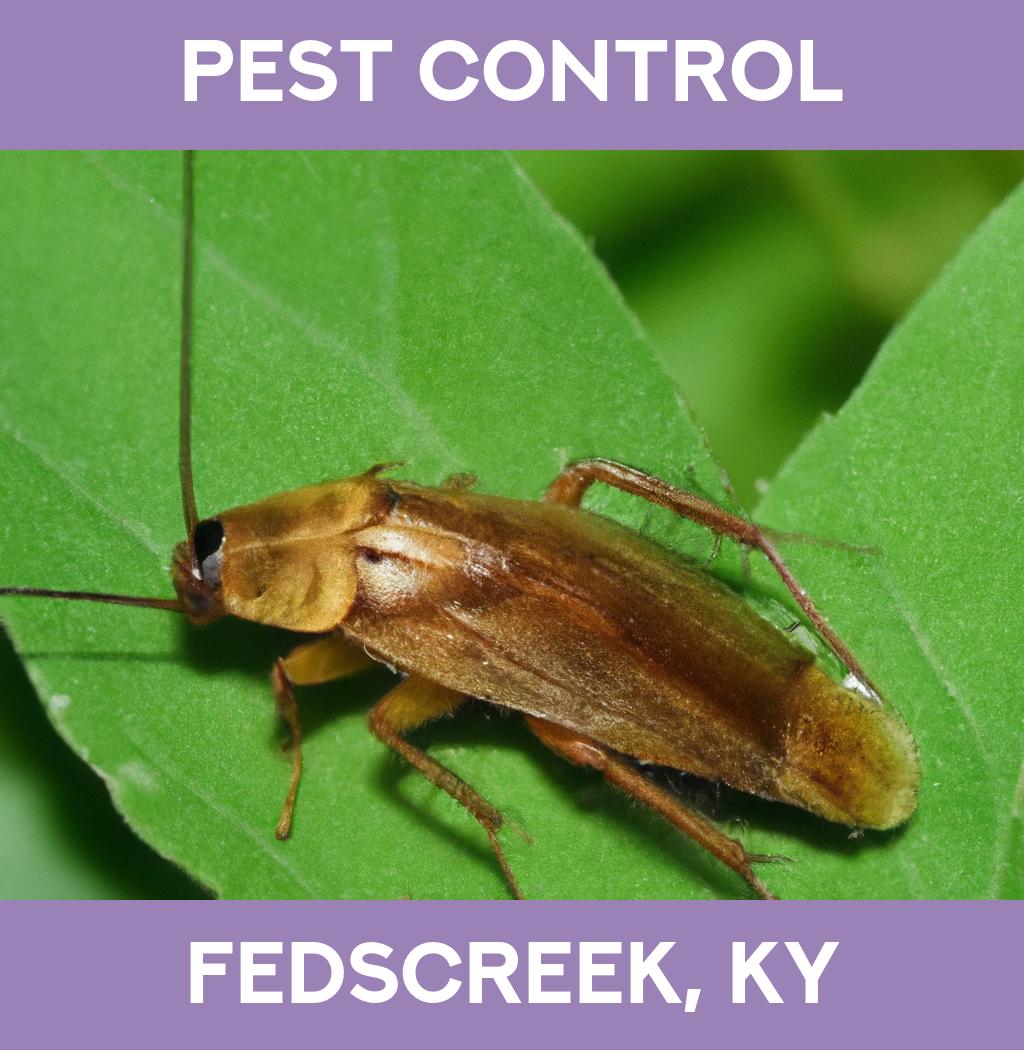 pest control in Fedscreek Kentucky