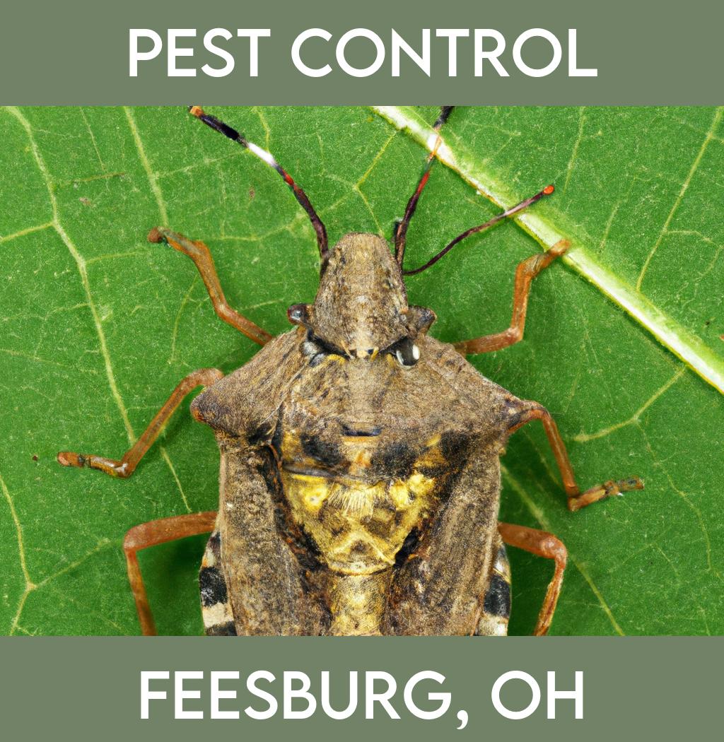 pest control in Feesburg Ohio