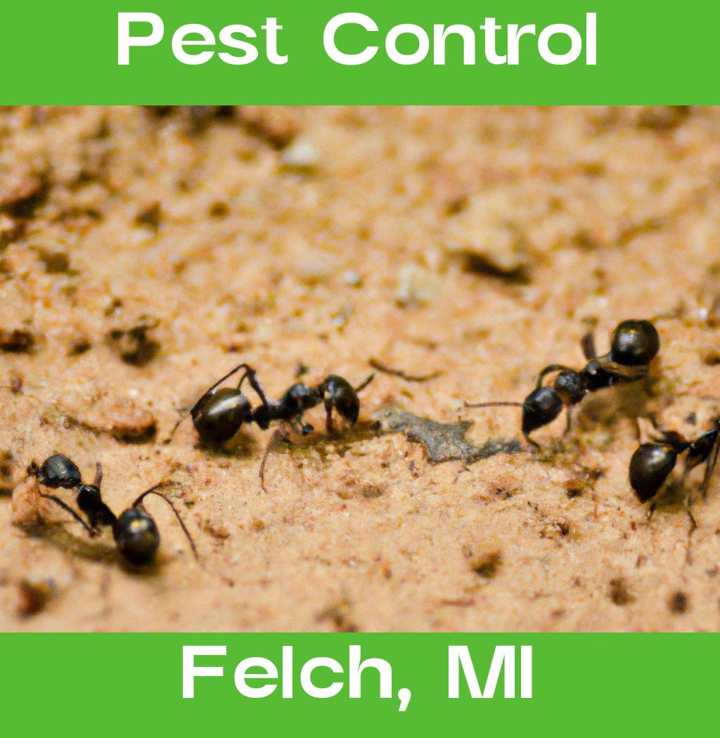 pest control in Felch Michigan