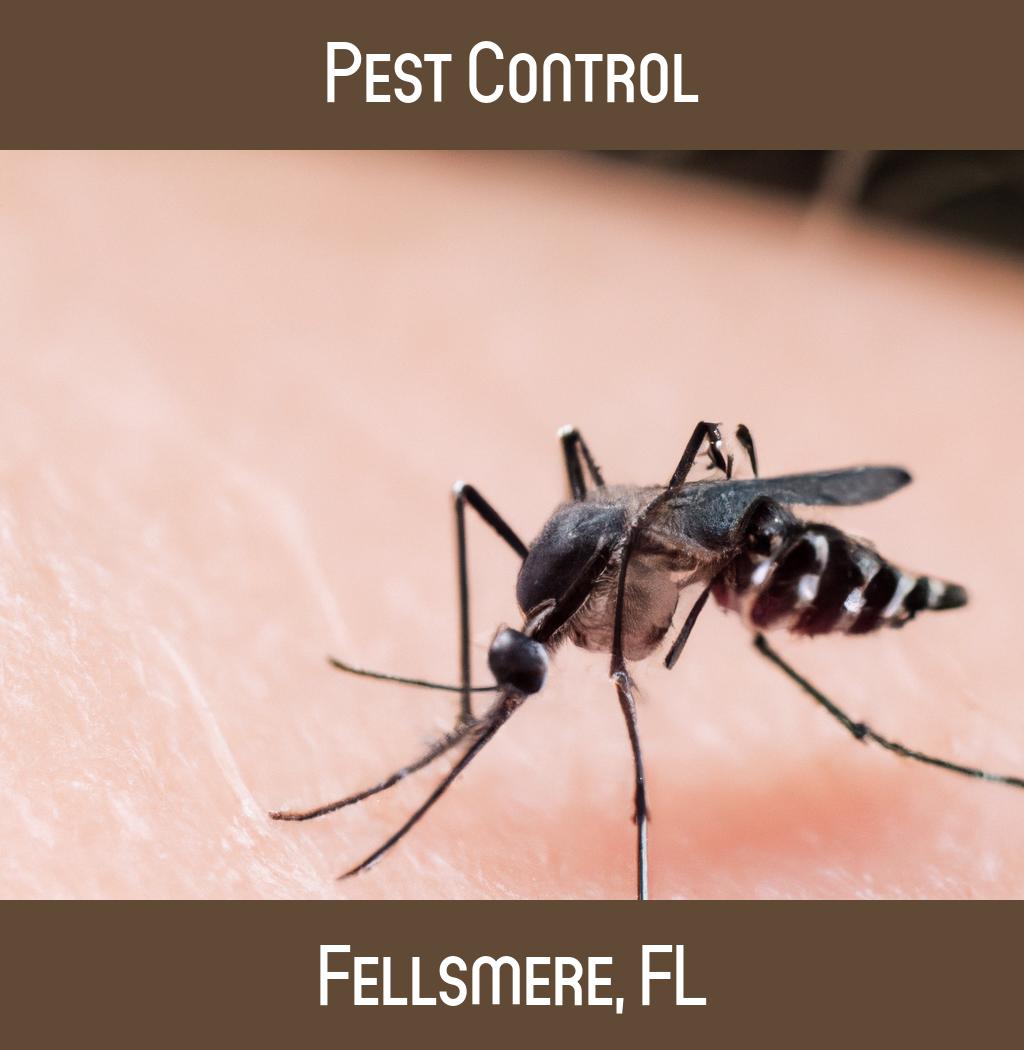 pest control in Fellsmere Florida