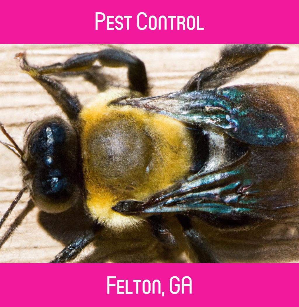 pest control in Felton Georgia