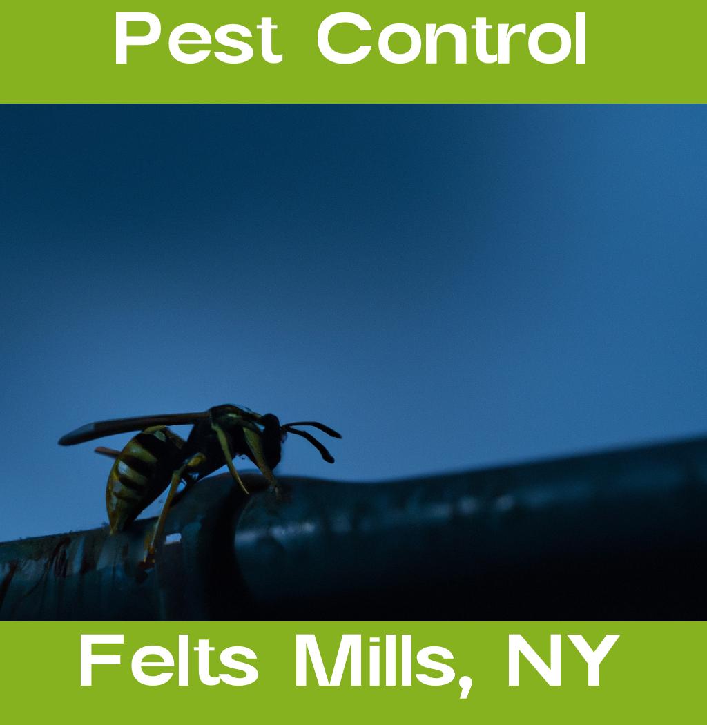 pest control in Felts Mills New York