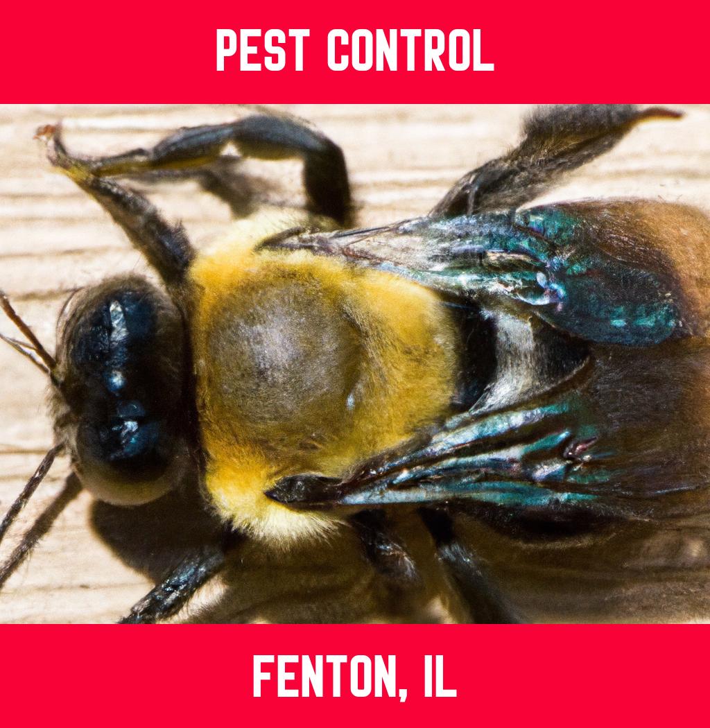 pest control in Fenton Illinois