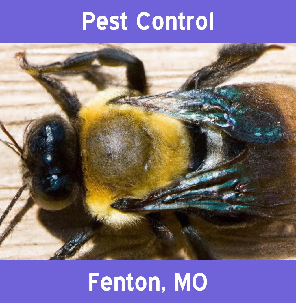 pest control in Fenton Missouri