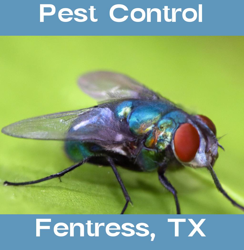 pest control in Fentress Texas