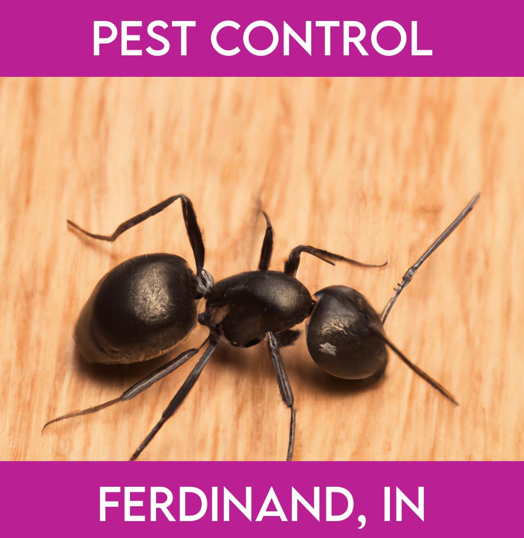 pest control in Ferdinand Indiana
