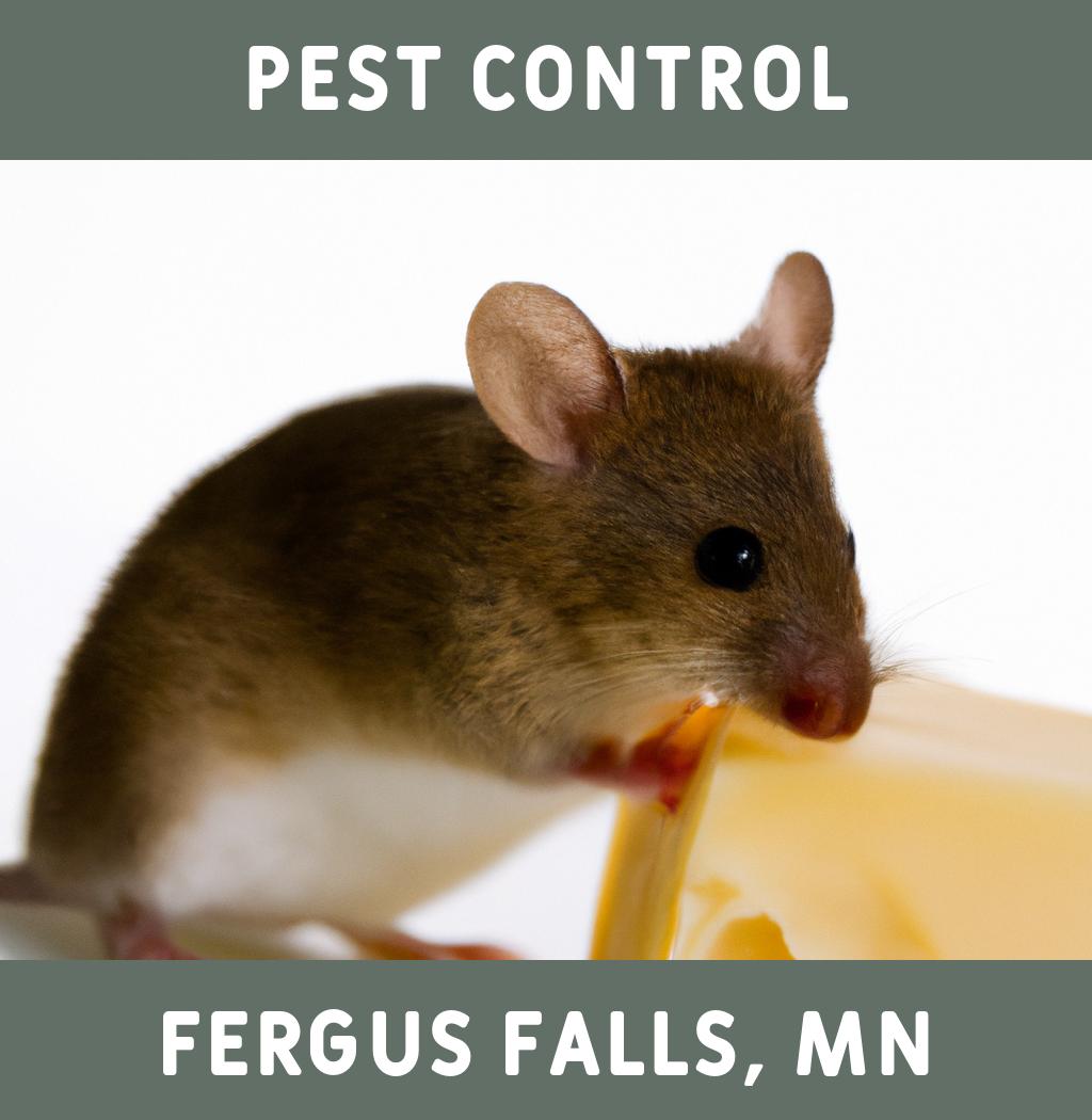 pest control in Fergus Falls Minnesota