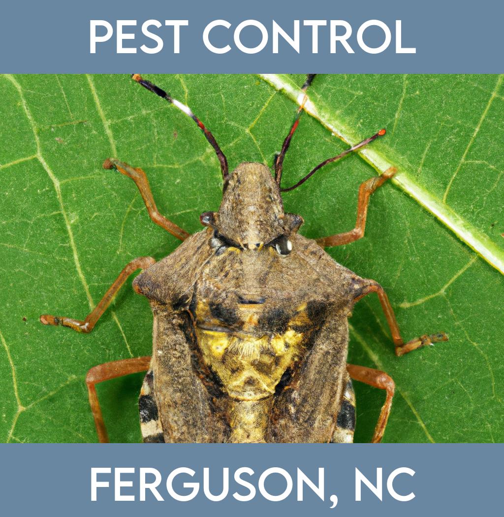 pest control in Ferguson North Carolina