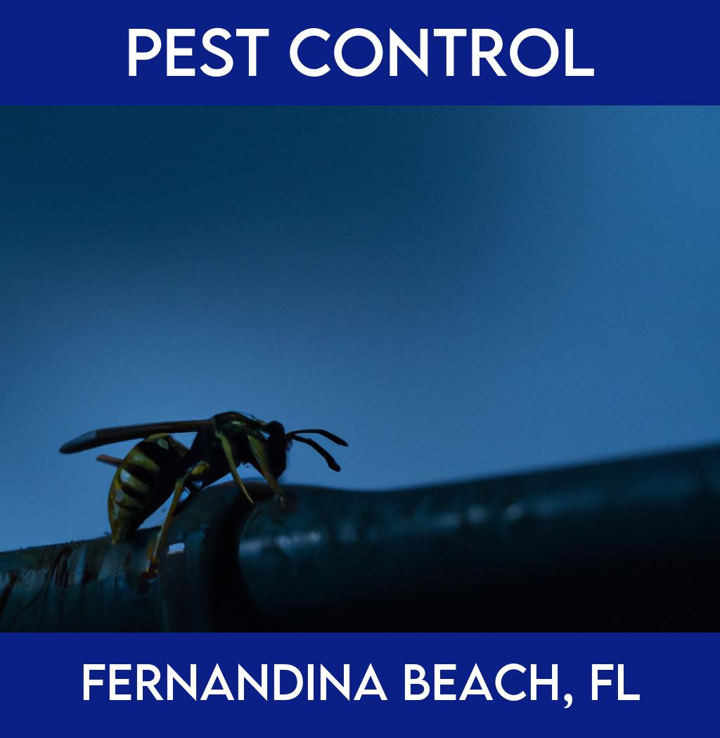 pest control in Fernandina Beach Florida