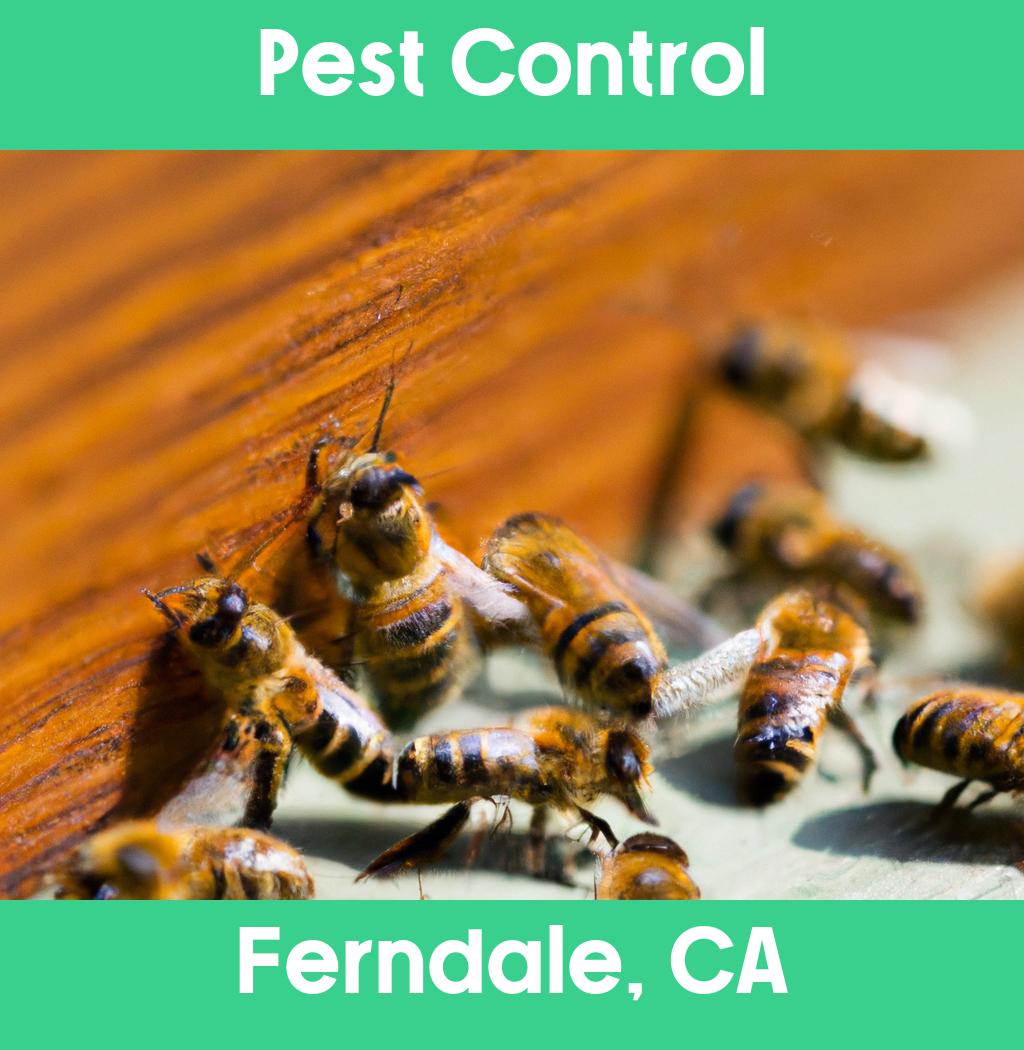 pest control in Ferndale California