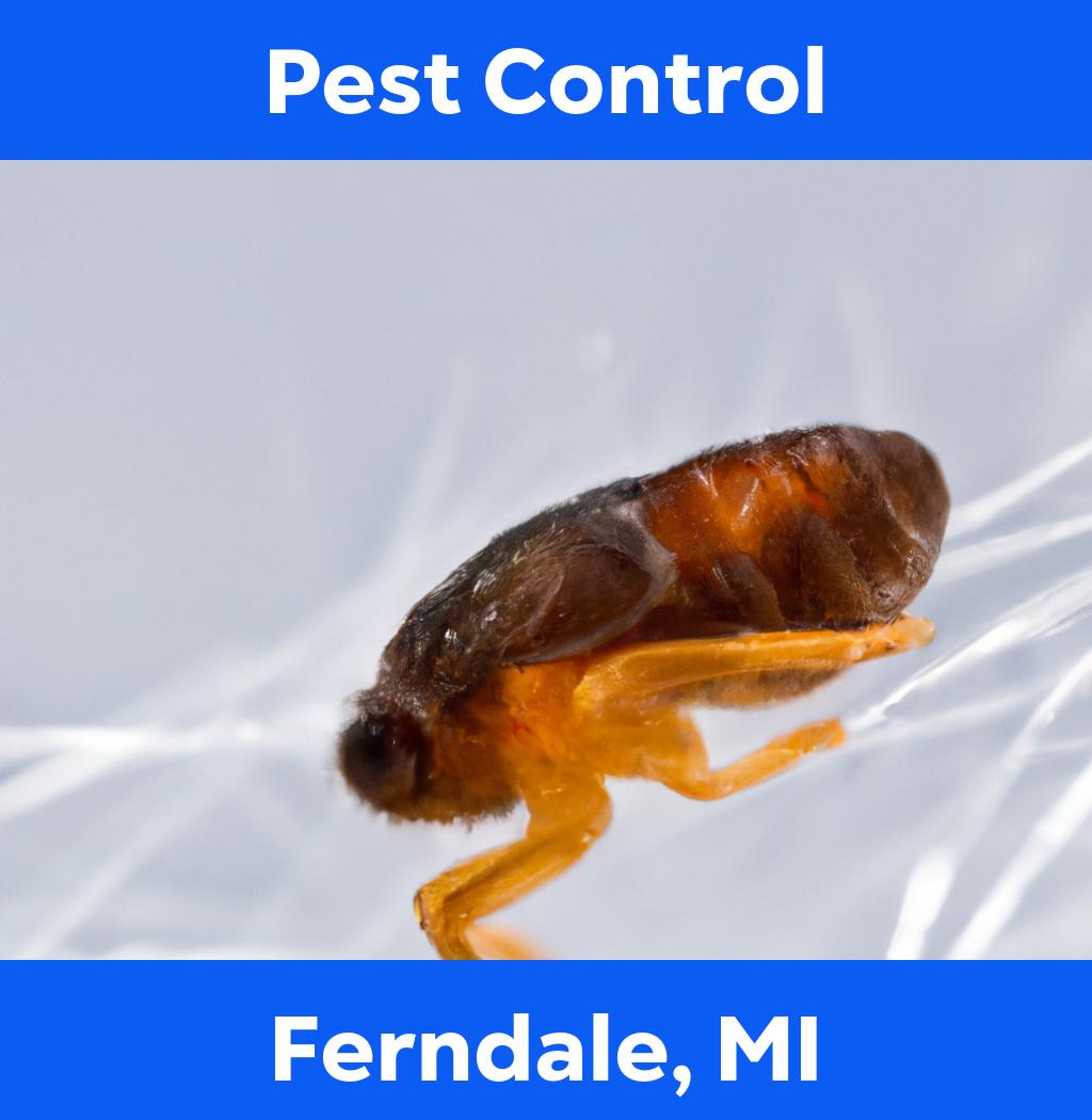 pest control in Ferndale Michigan