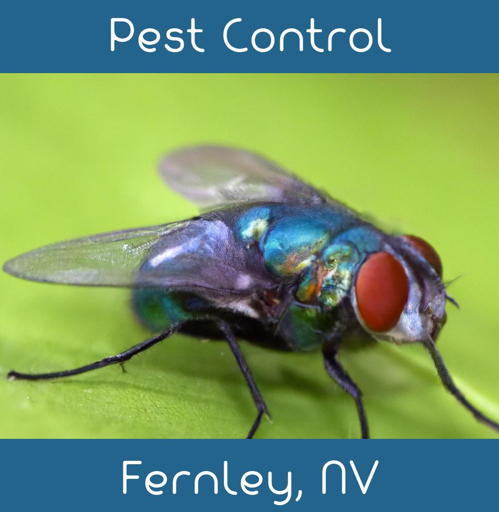 pest control in Fernley Nevada