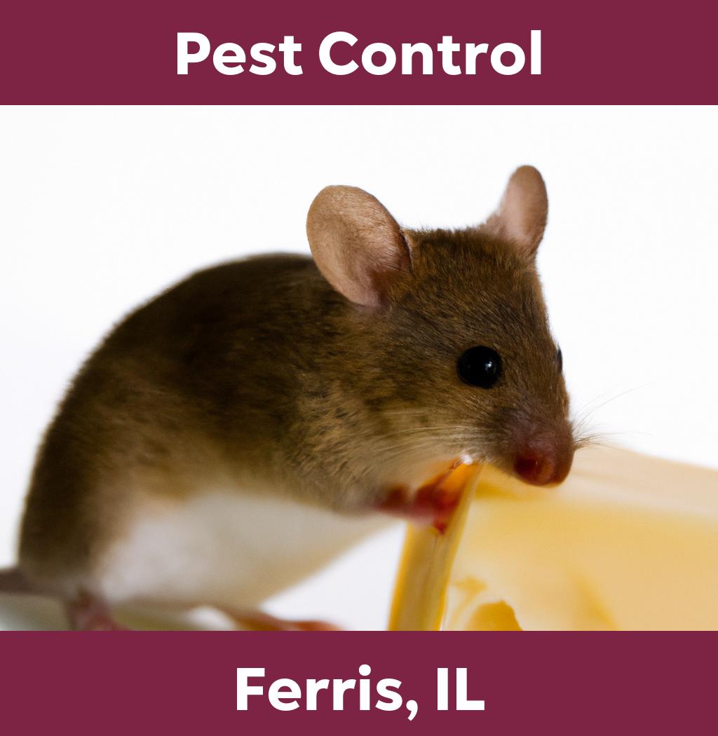 pest control in Ferris Illinois
