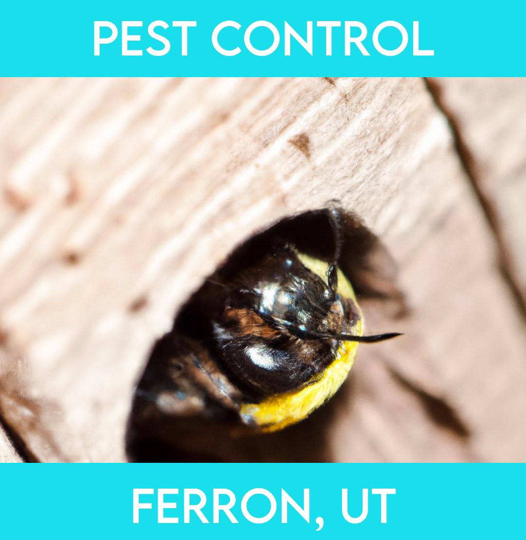 pest control in Ferron Utah