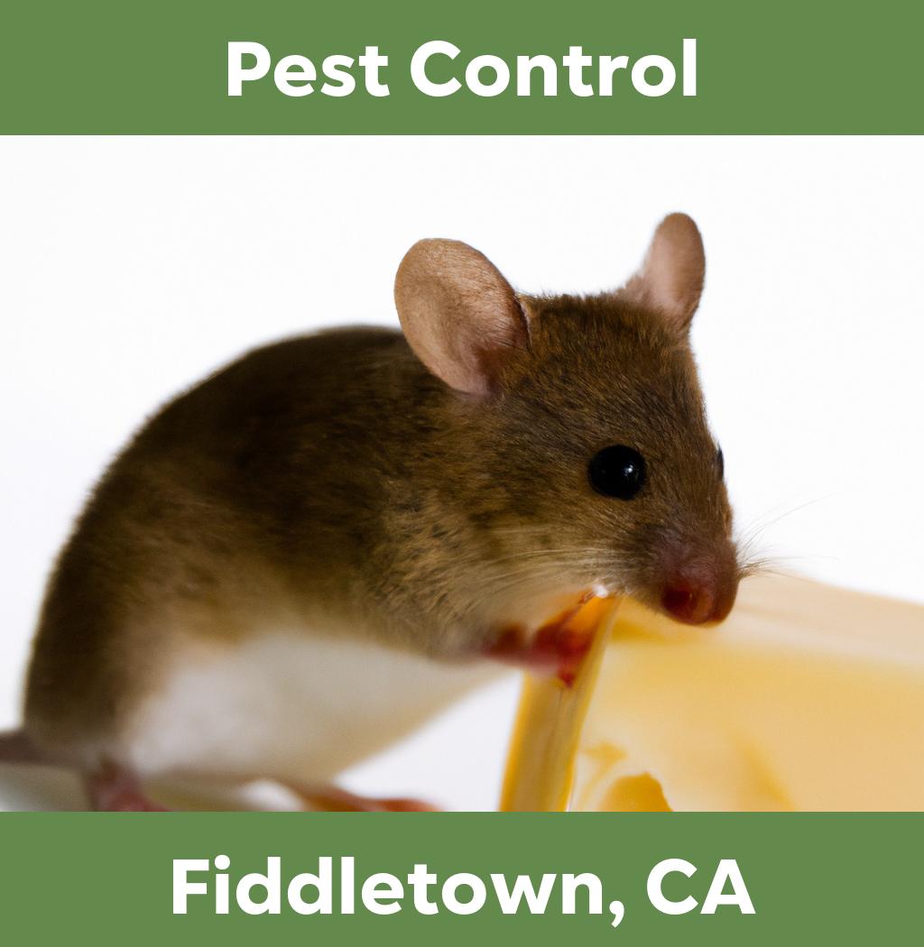 pest control in Fiddletown California