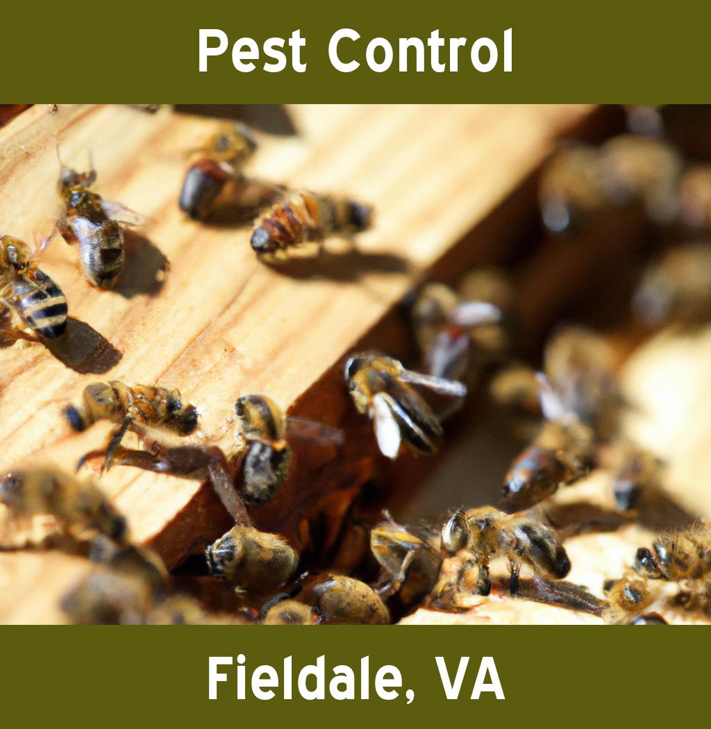 pest control in Fieldale Virginia