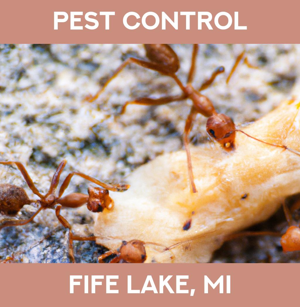 pest control in Fife Lake Michigan