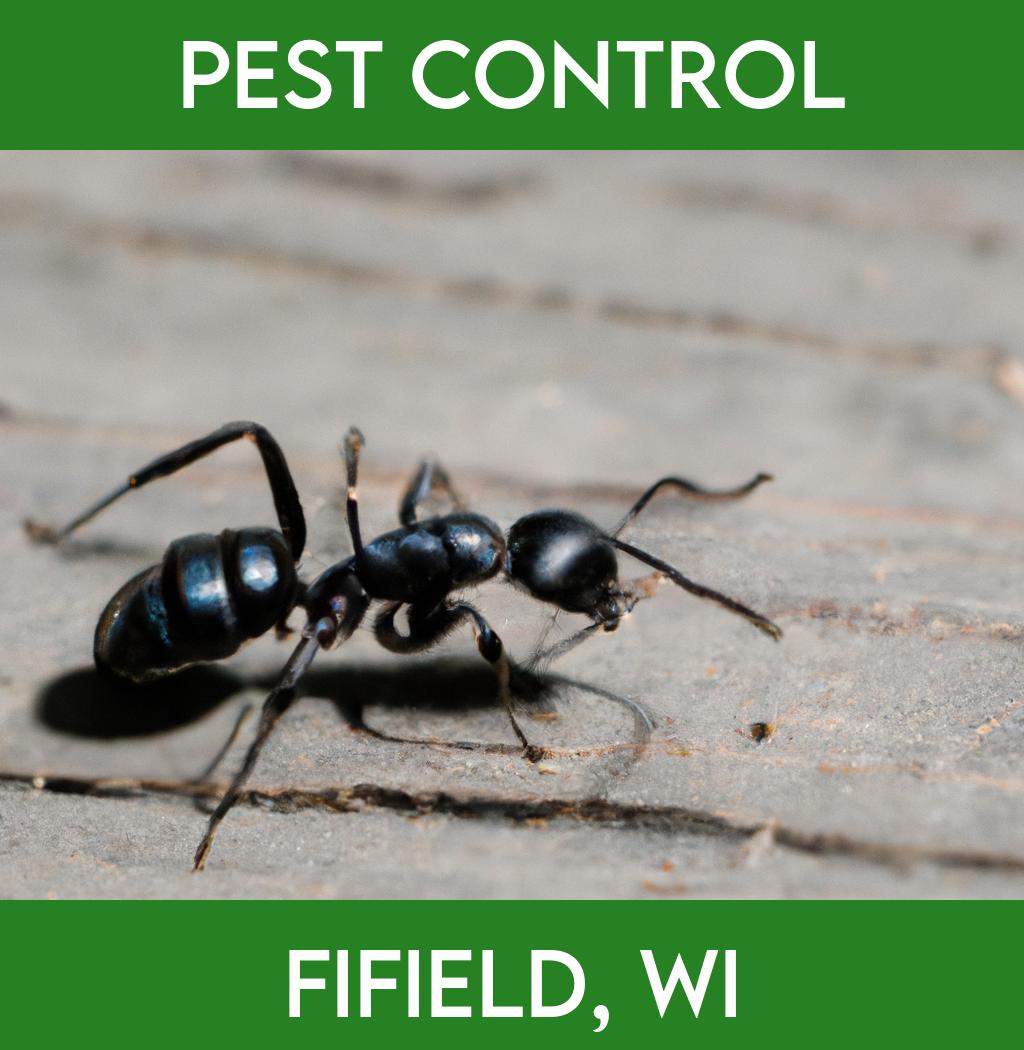 pest control in Fifield Wisconsin