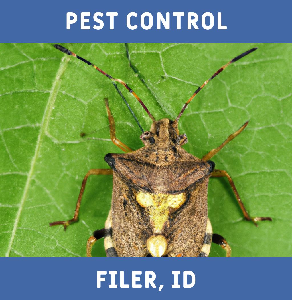 pest control in Filer Idaho